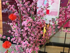 -万达广场(福州金融街店)
