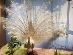 -陕西自然博物馆