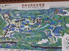 -野象谷景区