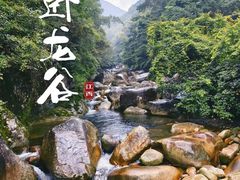 -大鄣山卧龙谷景区