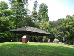 -武吉知马自然保护区