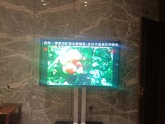 -弘安丽水温泉酒店