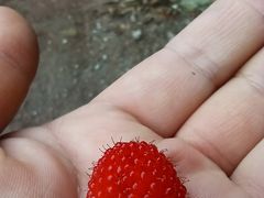 -南京市无想山景区