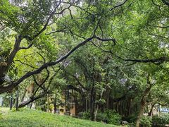 -烟台山景区