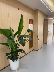 点击看大图 体验后-上海伊莱美医疗美容医院