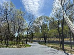-坝河休闲公园