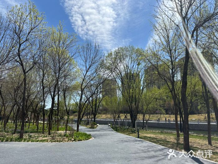 坝河休闲公园图片