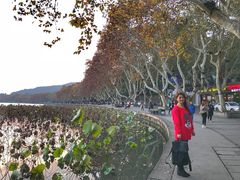 -杭州西湖风景名胜区-北街寻梦