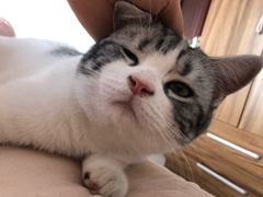 -千纸鹤嫩汁烤肉(西大直街店)