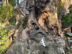 -来宫神社