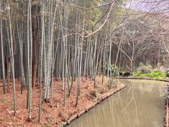 -同里国家湿地公园