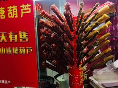 -和禄德冰糖葫芦