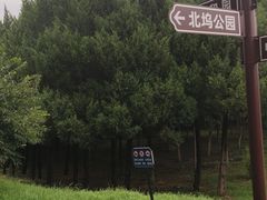 -北坞公园