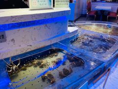 -澜悦港海鲜体验主题餐厅