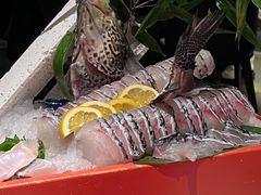 -领鲜天下·焗海鲜·花胶鸡(天目里店)