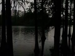 -重庆彩云湖湿地公园