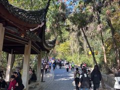 -灵岩山风景区