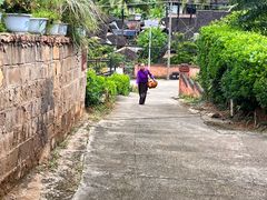 -曼丢傣家古寨