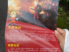 -普洱太阳河森林公园