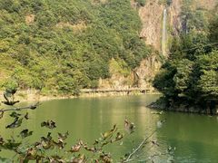 -磐安舞龙峡景区