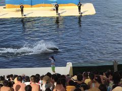 -秦皇岛乐岛海洋王国