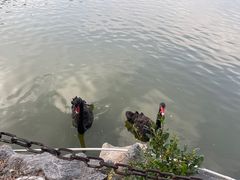 -珠海圆明新园