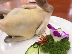 -创味·民间海南菜·非遗藤桥排骨(藤桥·免税城店)