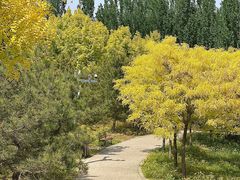 -东郊湿地公园