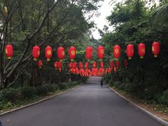 -三水森林公园