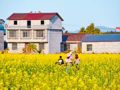 -光明小镇欢乐田园