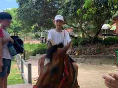 -泉州海丝野生动物世界