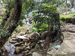 -狮子山郊野公园