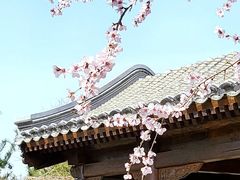 -三里河公园