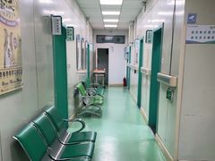 -北京观赏动物医院·24小时大型综合·猫专科·异宠专科