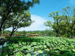 -承德避暑山庄景区