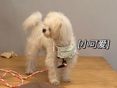 -王守财小山園