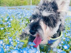 -花开海上生态园
