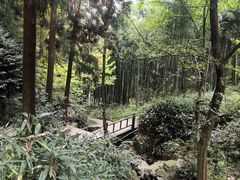 -莫干山风景区