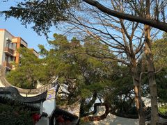 -乌山风景区