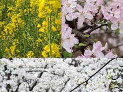 -白沙门生态公园