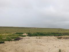 -二连浩特国家地质公园