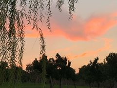 -共青国家森林公园-售票处