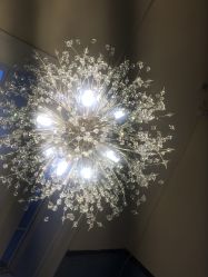 -晶禾臻语·问题肌研究所