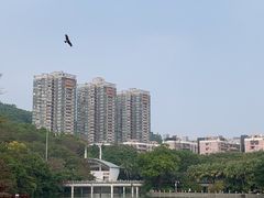 -深圳国际园林花卉博览园