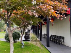 -禧宴Joyous Restaurant(禧园店)