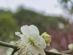 -盘门景区