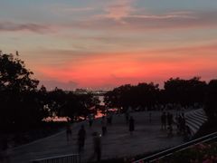 -宝安西湾红树林湿地公园