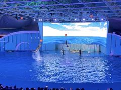 -海合安青岛极地海洋公园