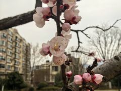 -龙洞风景区-藏龙涧