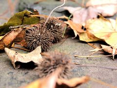 -宝岩生态观光园